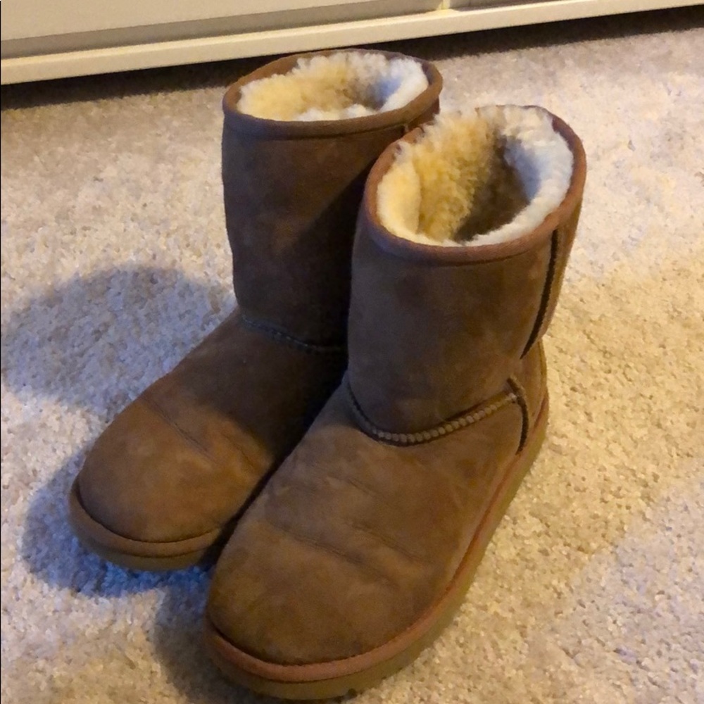 chestnut uggs